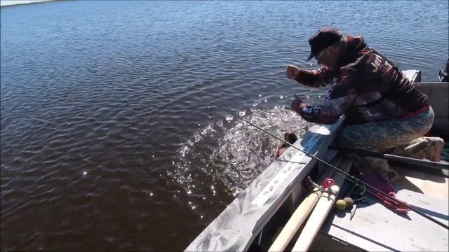 Jaws Machine Shad 26 не подвел! Первая 10+ смотреть онлайн