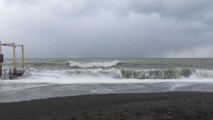 СОЧИ И АДЛЕР зимой: природа, волны и снег