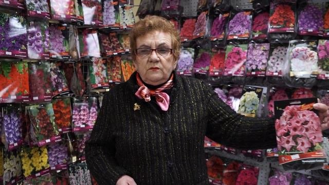 Новинки флоксов.  Рекомендации по выращиванию