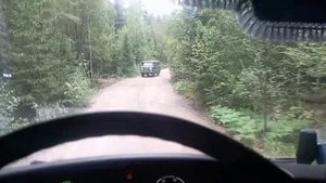 Нежданчик на узкой дороге