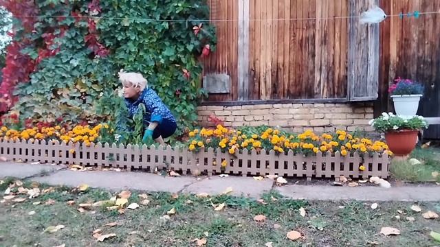 Живу одна в деревне// Незваный гость// Борьба продолжается// смотреть онлайн