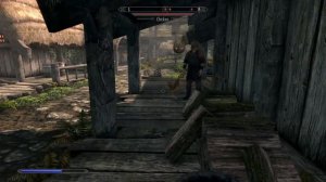 Fury Skyrim Chicken