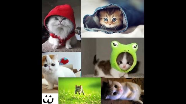 My intro смотреть онлайн