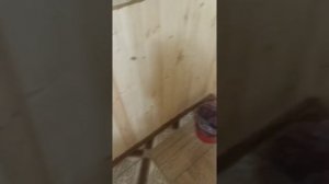 Теплый пол в бане от БОЙЛЕРА