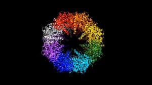 Structural and mechanistic characterization of an archaeal-like chaperonin from a thermophilic