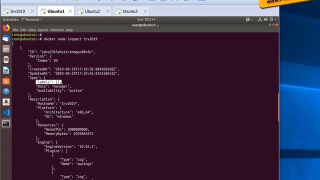 Swarm - Node Labels смотреть онлайн