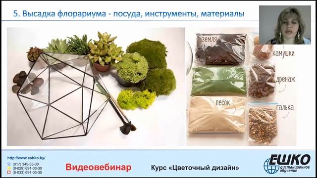 Как сделать флорариум самому. Флорариум - комнатный сад в миниатюре.