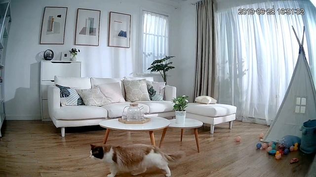 Imou Ranger 2 - 360° Coverage with AI Human Detection and Privacy Mode смотреть онлайн