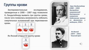 Внутренняя среда организма. Тема 21. Свертывание крови. Группы крови. Резус-фактор