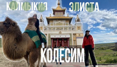 КОЛЕСИМ. Калмыкия, Элиста