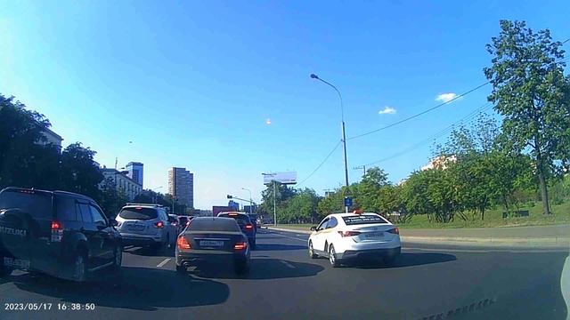 Как голуби попадают под машины