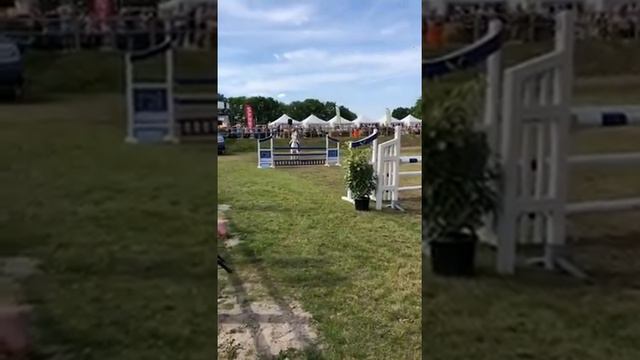 1e in het DZ met Blueberry Ice смотреть онлайн