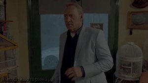 ТОП 5 ФИЛЬМОВ С КОШКАМИ! Обзор кино.