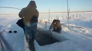 Как ловят налима в Якутии