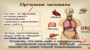 Форма росгвардии