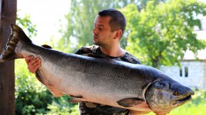 Шашлык из дикой дальневосточной чавычи на мангале.