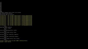 Couldn't create server on port 28015 Startup Error