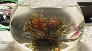 Dads 1st Blooming Tea