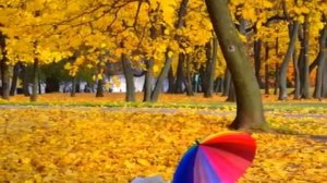 Горчит осенняя погода - Автор Надежда Кутуева, музыка и исп. А. Якунин-Сугробов,