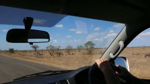 День 4. Парк Крюгер. ЮАР. Часть 2. Kruger Park. South Africa.