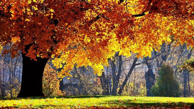 Музыка в дорогу. Исполнитель Неизвестен / Ах,эта осень /Ивушка моя / смотреть онлайн