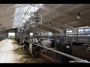 БГСХА. Коровник из железобетонных конструкций. Сухостойный период