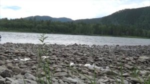 Абаза,часть 1(интересная) mp4