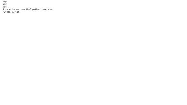 Does every docker container directly present only a shell? смотреть онлайн