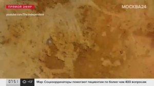 Во Франции обнаружили древнейшие в мире наскальные рисунки, оставленные неандертальцами - Москва 24