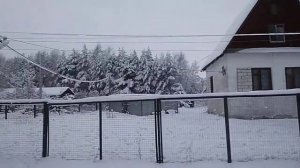 Доехали до деревни Спас-на-Сози