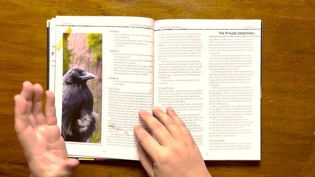 A Night at the Opera - VISCID for Delta Green: The Roleplaying Game by Arc Dream Publishing смотреть онлайн