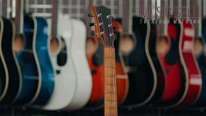 ОБЗОР АКУСТИЧЕСКОЙ ГИТАРЫ SQOE - MUSIC SELL