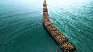 Невельск 2023