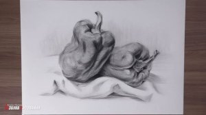 Как рисовать угольным карандашом и углем. 3 техники