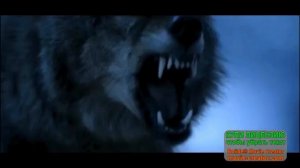 Сериалу "Степные волки" посвящается.