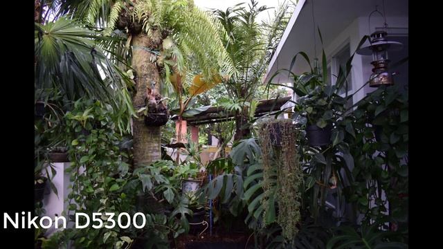 Nikon D5300 vs Galaxy S7 | Camera Battle EP.1 смотреть онлайн