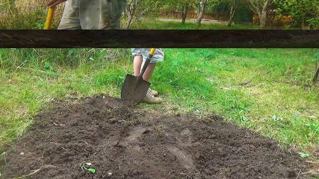 Отдых на даче 55 смотреть онлайн