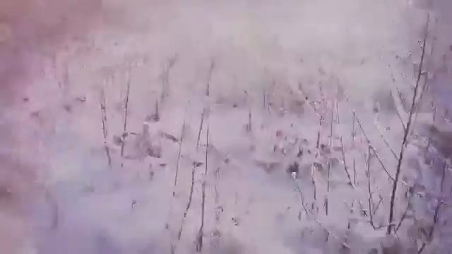 NewYear 2017 by Lynx LX600ACE смотреть онлайн