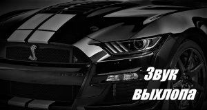 Mustang  звук выхлопа.