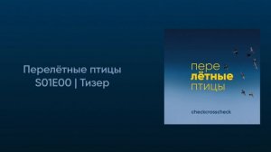 Тизер | Перелётные птицы - новый подкаст об авиации уже в мае 2023 @checkcrosscheck