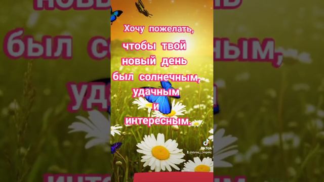 Пожелание удачного дня. Красивая видеооткрытка. Аффирмации. Законы Вселенной смотреть онлайн