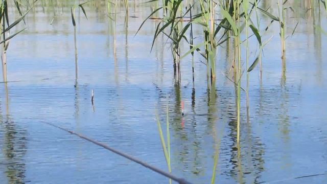 Рыбалка на Червоном озере. Открытие сезона 2019 смотреть онлайн