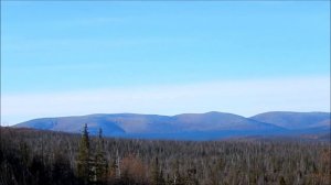 Чумовые рассказы. Почему я не бросил курить.