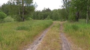 Путешествие в лес и к озеру в д. Михали Гусь-Хрустальный район.