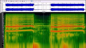 ? Спектрограммы.