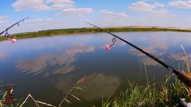 Самый большой Карась которого я поймал, рыбалка на карася с берега на донки смотреть онлайн