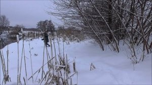 ЛОВЛЯ ЩУКИ В ЯНВАРЕ.  РЫБАЛКА НАХЛЫСТОМ НА РЕКЕ. ЩУКА НА СТРИМЕР.