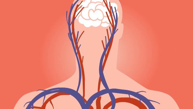 NIPOŠTO NE ČUPAJTE I NE GAZITE OVU BILJKU, NIJE KOROV! Evo zašto смотреть онлайн