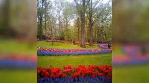 С днём рождения!!! Голландская песенка