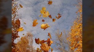 Клип на песню из к/ф Сваты "Мой календарь"